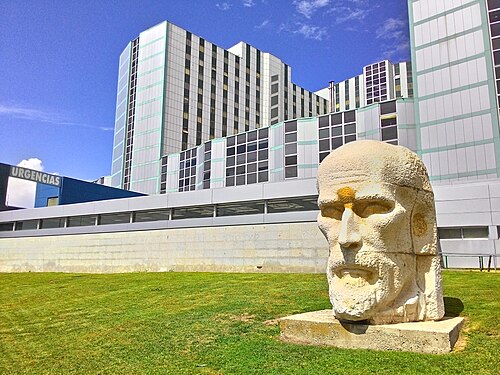 Hospital_Ramón_y_Cajal